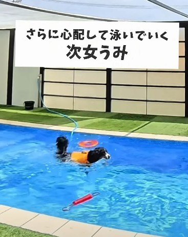 うみちゃんも救助へ