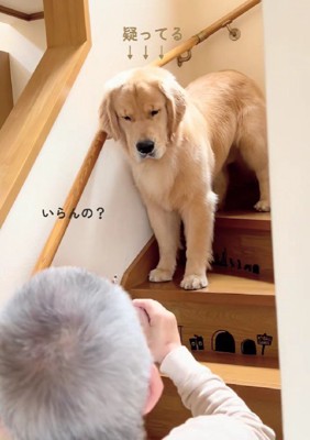 いぶかしげな顔で硬直!