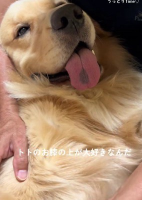 うっとり甘える姿にキュン♡
