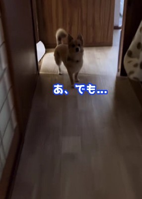 トイレに向かおうとすると…