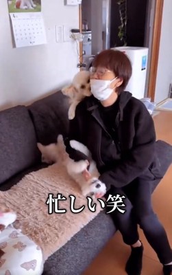 忙しいお母さん