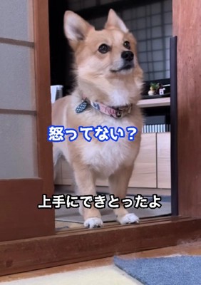 「ほんとに?」