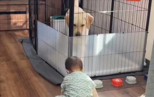 会話ボタン