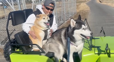 ミニカーに乗っている柴犬とハスキー犬と男性