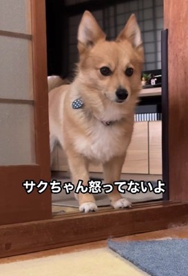 落ち着かない様子で待機