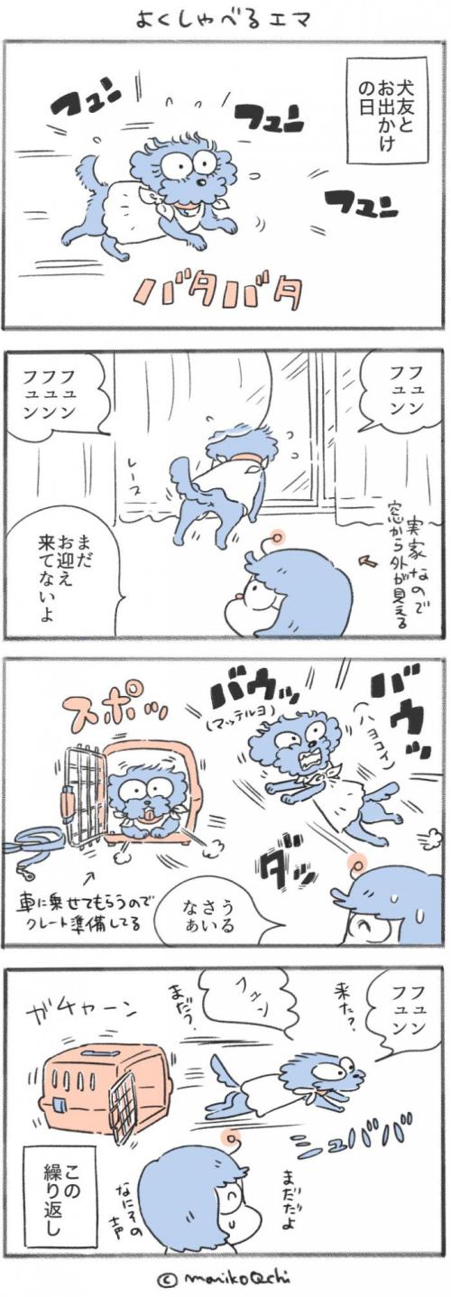 犬と暮らせば【第543話】
