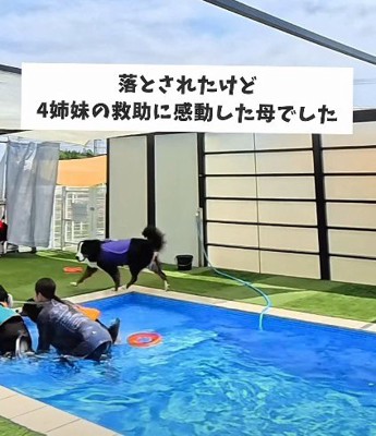 末っ子が救助成功！！