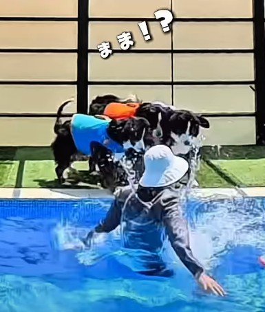 ママがプールへ落下