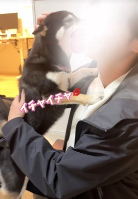パパさんの帰宅に大喜び♡