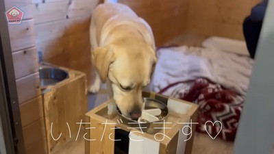 朝ごはんの時間