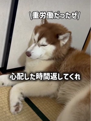力尽きていただけだった