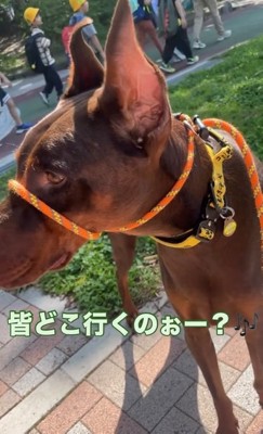 子どもが好きなよもぎくん