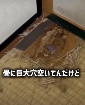 大きな穴を作り上げていた