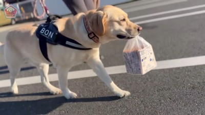 お利口さんで可愛い♡