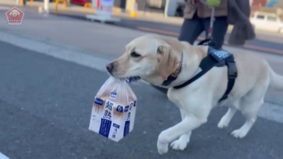 「任せて！お家まで運んであげる♪」