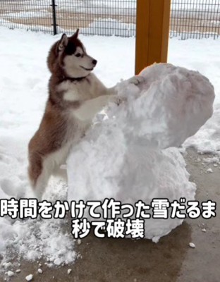 雪だるまを豪快に破壊