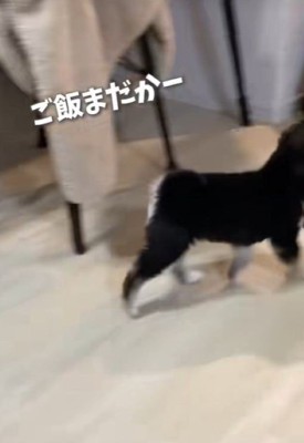 はるちゃん