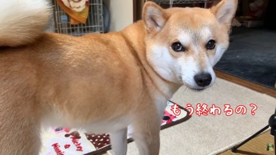 一瞬でご不満顔に！