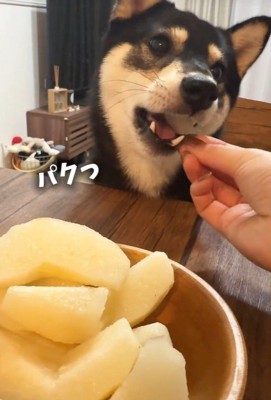 大好物の梨をパクっ♪