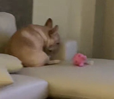 「どうしたんだろう…？」