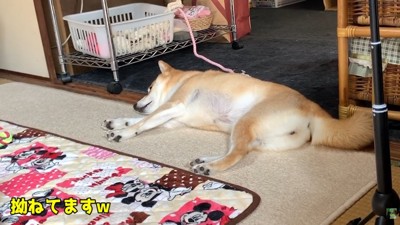 無視！