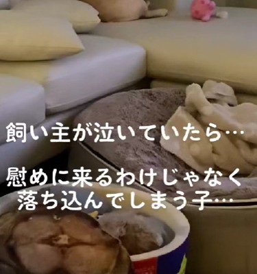 涙を流していたら…