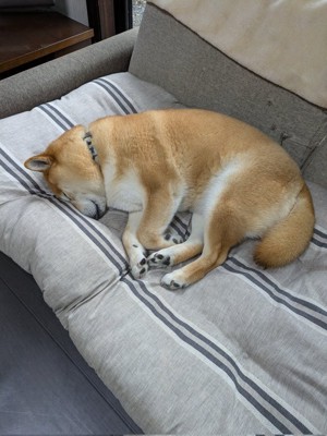 尊い