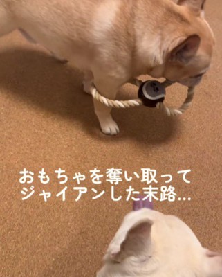 不思議な状態に