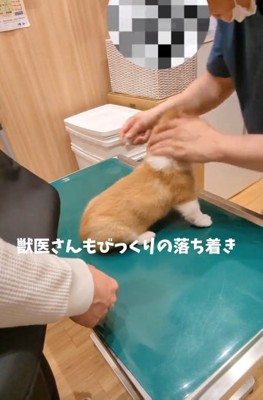 驚く先生