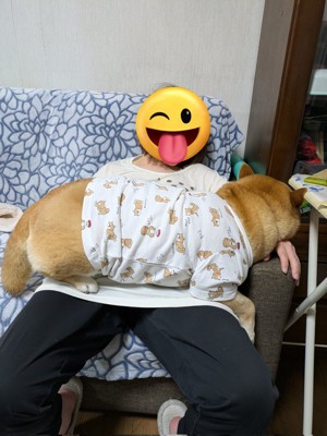 飼い主