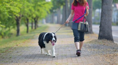 犬と散歩する女性