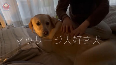 朝の挨拶をしながらマッサージ