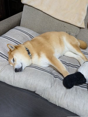 のんびり