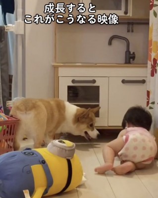 ちゃちゃ「どうしよ?」