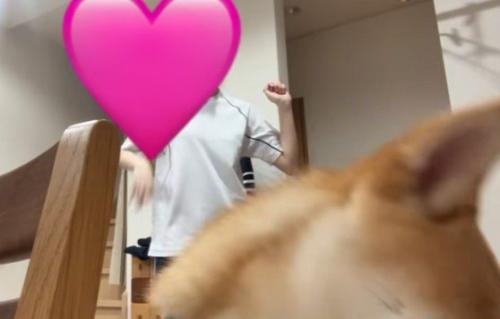 スッと退場…