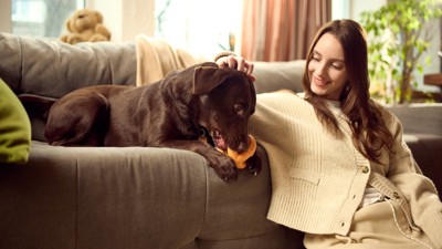 おもちゃで遊ぶ犬を見守る女性