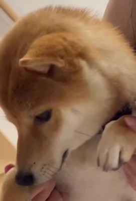 大切なふたりの時間♡