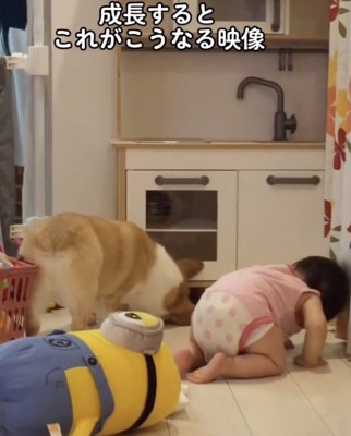 「入っちゃったね…」