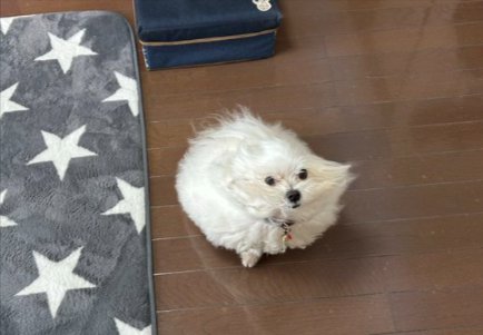 風