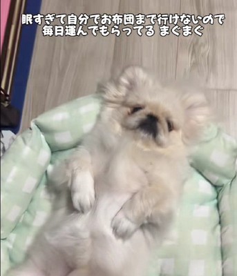 「おやすみなさい…」