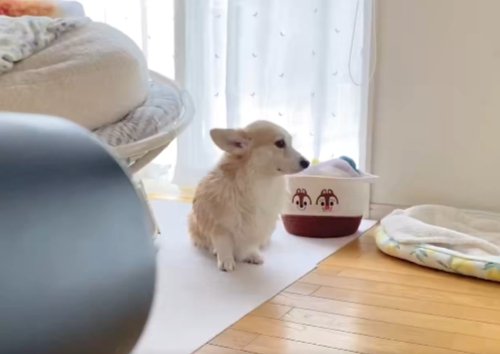 お風呂