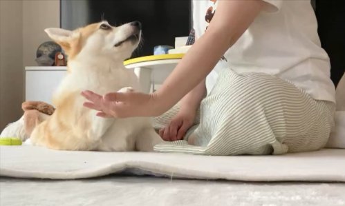 普段