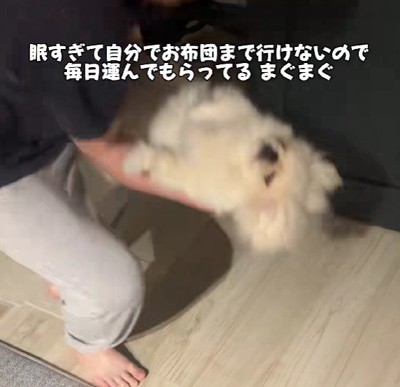 もう動けません