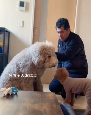 挨拶する大型犬