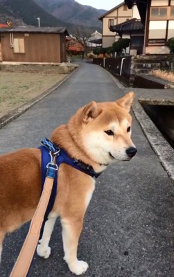 過ぎ去っていく電車