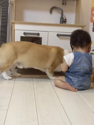 ちゃちゃにお渡し