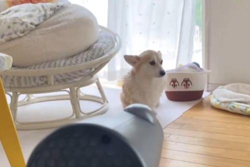 独自