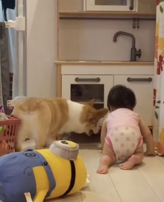 取れるかな?