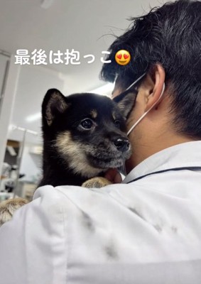抱っこされる子犬