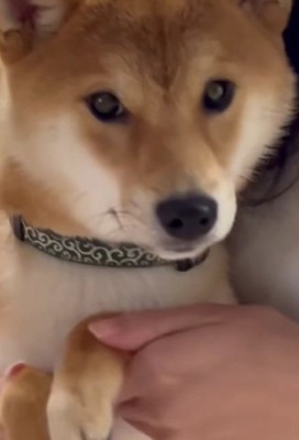 仲良くダンスを楽しむことも